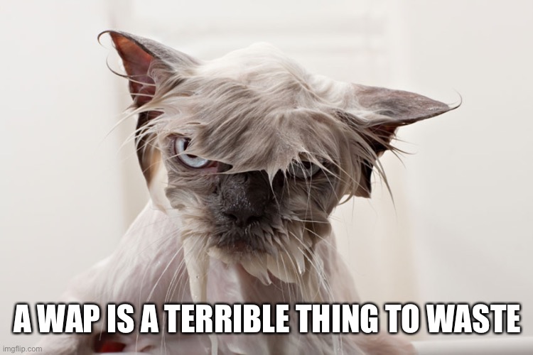 WAP | A WAP IS A TERRIBLE THING TO WASTE | image tagged in wap | made w/ Imgflip meme maker