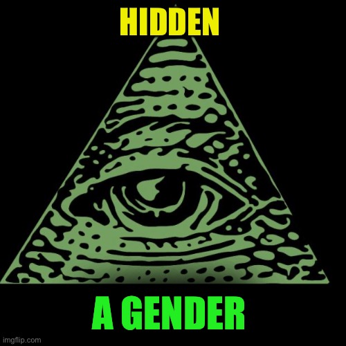 Illuminati is watching | HIDDEN A GENDER | image tagged in illuminati is watching | made w/ Imgflip meme maker
