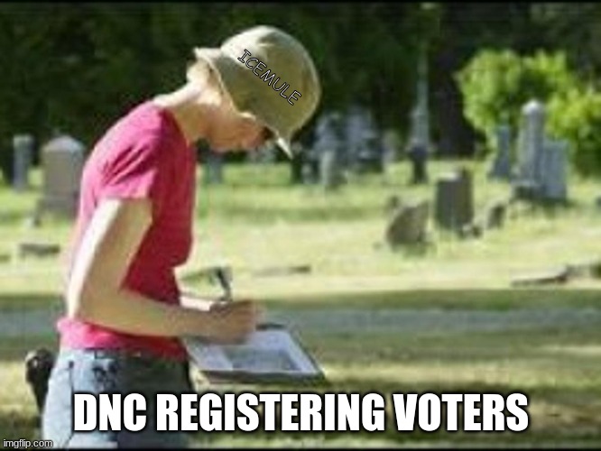 ICEMULE; DNC REGISTERING VOTERS | image tagged in voting | made w/ Imgflip meme maker