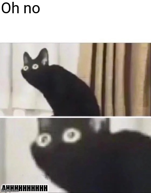 Oh No Black Cat | Oh no AHHHHHHHHHH | image tagged in oh no black cat | made w/ Imgflip meme maker