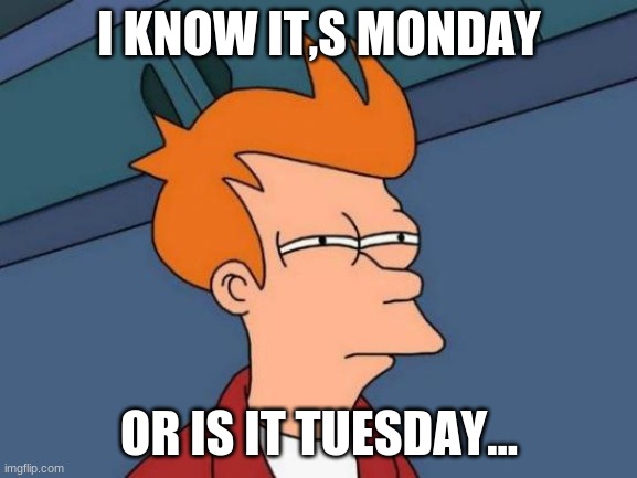 the struggle... | I KNOW IT,S MONDAY; OR IS IT TUESDAY... | image tagged in memes,futurama fry | made w/ Imgflip meme maker