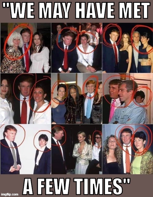 TBH he did concede he met her "numerous times." Guess knowing there was photo evidence helped with that uncharacteristic candor. | image tagged in trump,jeffrey epstein,epstein,pedophiles,pedophilia,pedophile | made w/ Imgflip meme maker