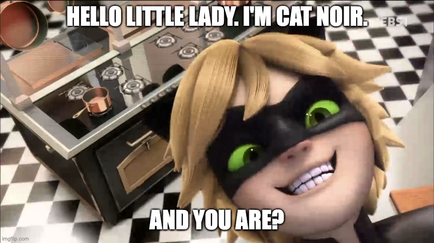 CaT nOiR wAnTs To MeEt YoU | HELLO LITTLE LADY. I'M CAT NOIR. AND YOU ARE? | image tagged in miraculous ladybug,funny | made w/ Imgflip meme maker
