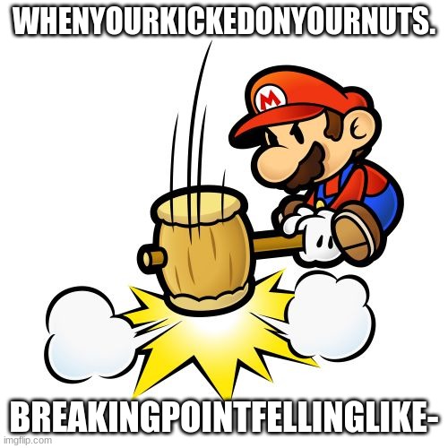the kick tothe Nuts | WHENYOURKICKEDONYOURNUTS. BREAKINGPOINTFELLINGLIKE- | image tagged in memes,mario hammer smash | made w/ Imgflip meme maker