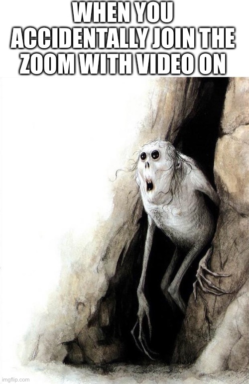 cave meme | WHEN YOU ACCIDENTALLY JOIN THE ZOOM WITH VIDEO ON | image tagged in cave meme | made w/ Imgflip meme maker