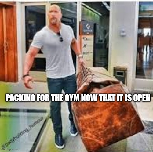 Packing for the gym | PACKING FOR THE GYM NOW THAT IT IS OPEN | image tagged in gymbag,packing | made w/ Imgflip meme maker