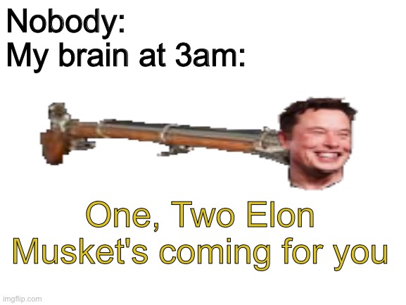 Anyone else? | Nobody:
My brain at 3am:; One, Two Elon Musket's coming for you | image tagged in elon musket | made w/ Imgflip meme maker