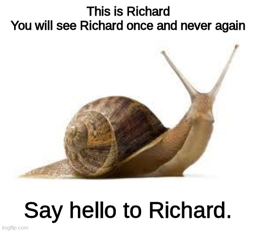 This is Richard. | This is Richard
You will see Richard once and never again; Say hello to Richard. | image tagged in snail,wholesome,memes,funny,cute | made w/ Imgflip meme maker