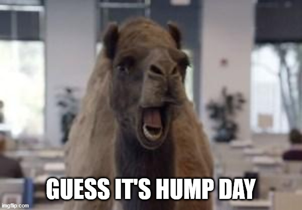 Hump Day Camel | GUESS IT'S HUMP DAY | image tagged in hump day camel | made w/ Imgflip meme maker