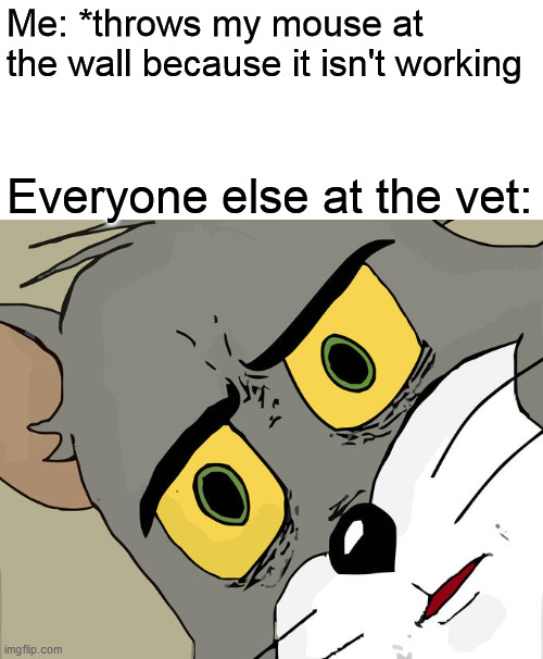 Unsettled Tom | Me: *throws my mouse at the wall because it isn't working; Everyone else at the vet: | image tagged in memes,unsettled tom | made w/ Imgflip meme maker