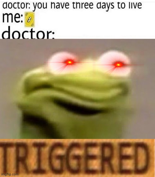 TRIGGERED | image tagged in kermit the frog | made w/ Imgflip meme maker