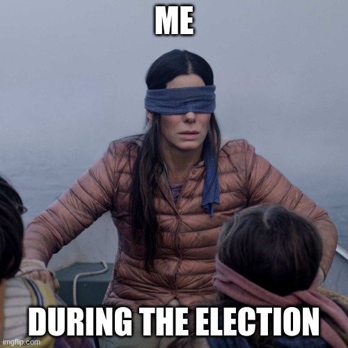 Bird Box | ME; DURING THE ELECTION | image tagged in memes,bird box | made w/ Imgflip meme maker