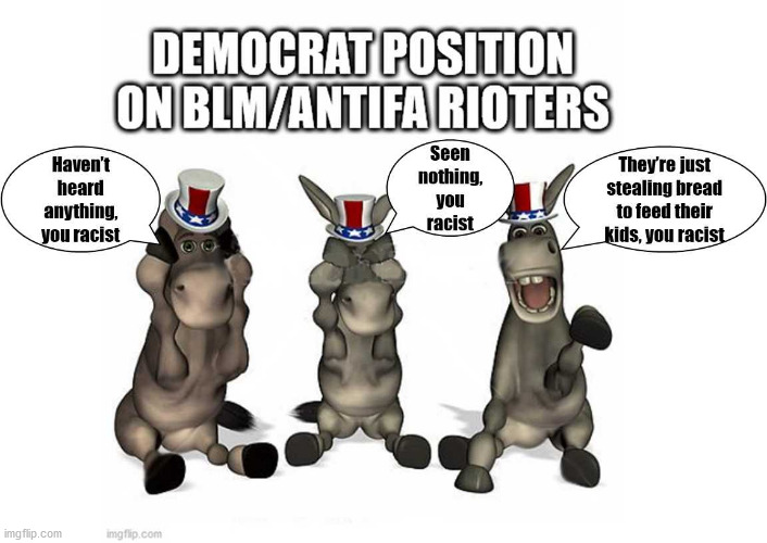 Democrat position on BLM/Antifa rioters | image tagged in dnc,democrats,joe biden | made w/ Imgflip meme maker