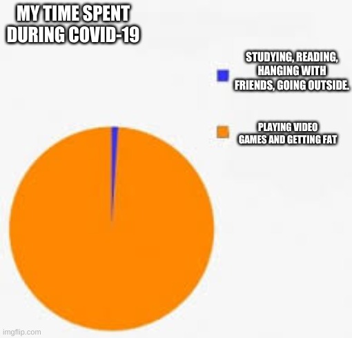 Pie Chart Meme | MY TIME SPENT DURING COVID-19; STUDYING, READING, HANGING WITH FRIENDS, GOING OUTSIDE. PLAYING VIDEO GAMES AND GETTING FAT | image tagged in pie chart meme | made w/ Imgflip meme maker