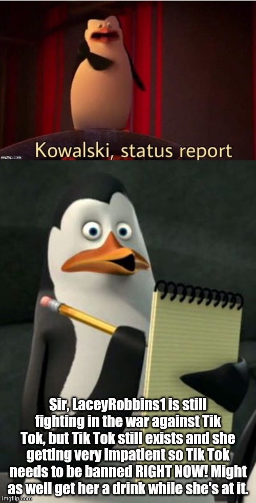 Sir, LaceyRobbins1 is still fighting in the war against Tik Tok, but Tik Tok still exists and she getting very impatient so Tik Tok needs to be banned RIGHT NOW! Might as well get her a drink while she's at it. | image tagged in kowalski penguins,kowalski status report | made w/ Imgflip meme maker