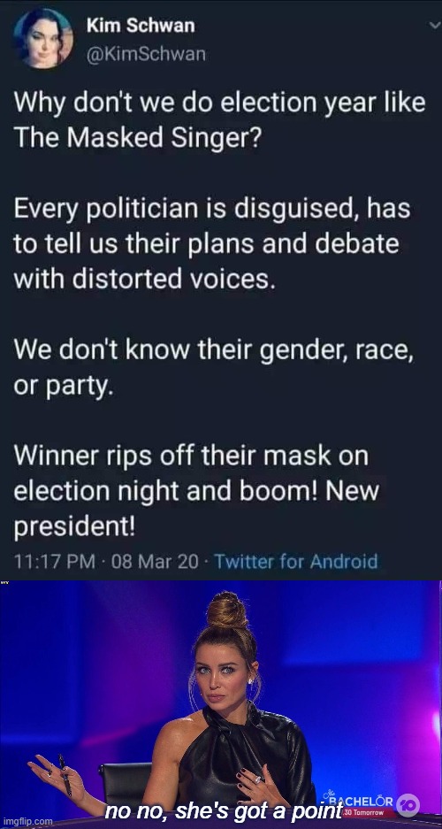 Dannii approves | no no, she's got a point | image tagged in dannii masked singer 6,television,television series,television tv,elections,political humor | made w/ Imgflip meme maker