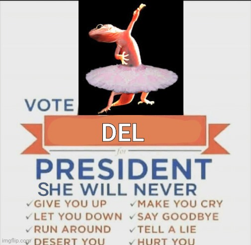 High Quality vote del for president rickroll Blank Meme Template