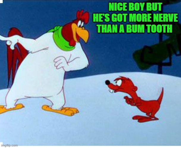 foghorn | NICE BOY BUT HE’S GOT MORE NERVE THAN A BUM TOOTH | image tagged in foghorn,kewlew | made w/ Imgflip meme maker