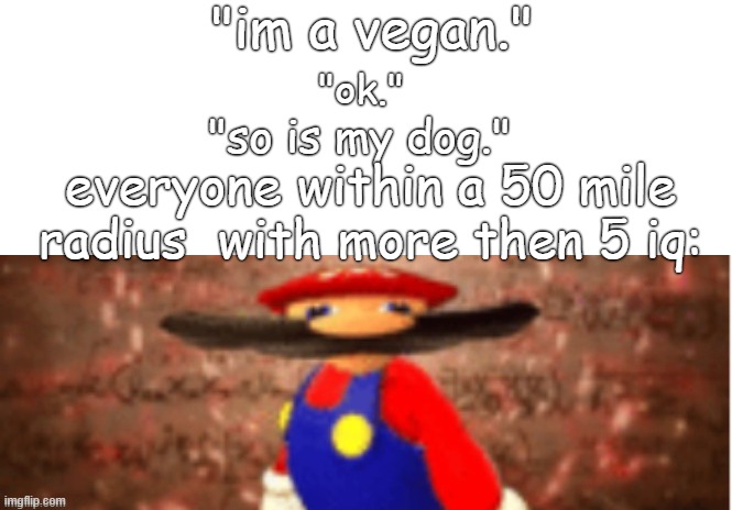 E |  "im a vegan."; "ok."; "so is my dog."; everyone within a 50 mile radius  with more then 5 iq: | image tagged in mario | made w/ Imgflip meme maker