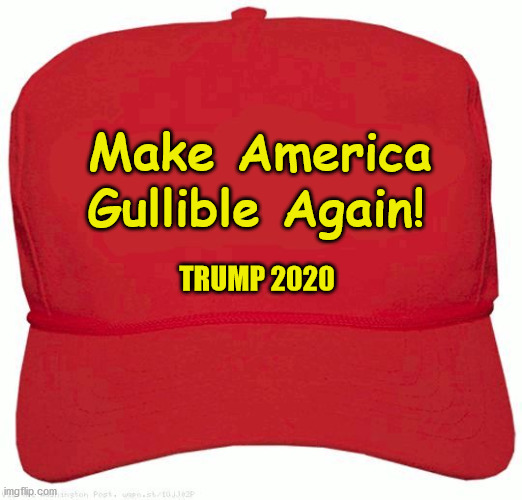 Red Hat | Make America; Gullible Again! TRUMP 2020 | image tagged in red hat | made w/ Imgflip meme maker