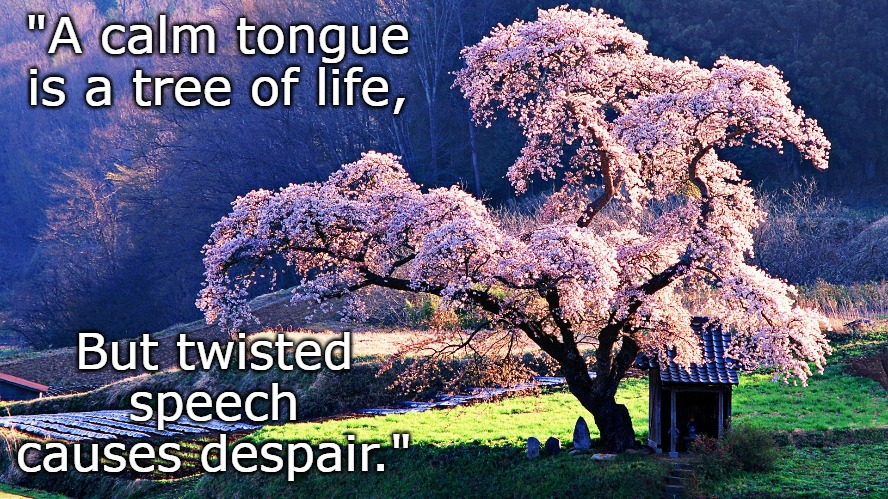 Calm Tongue | "A calm tongue is a tree of life, But twisted speech causes despair." | image tagged in calm,tree,life,twisted,speech,despair | made w/ Imgflip meme maker