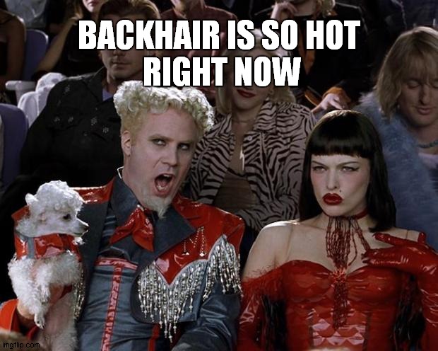 backhair is hot | BACKHAIR IS SO HOT
 RIGHT NOW | image tagged in hair | made w/ Imgflip meme maker