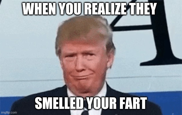 Trump Meme | WHEN YOU REALIZE THEY; SMELLED YOUR FART | image tagged in donald trump,nevertrump,dump trump | made w/ Imgflip meme maker