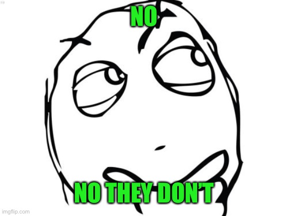 Question Rage Face Meme | NO NO THEY DON’T | image tagged in memes,question rage face | made w/ Imgflip meme maker