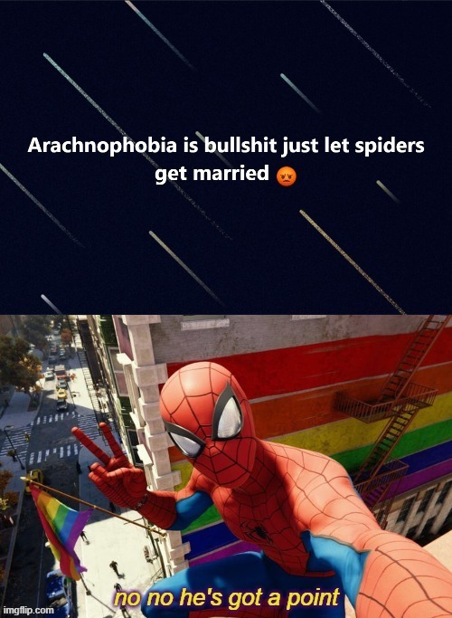 just a silly one lol | image tagged in no no he's got a point,marriage equality,spiderman,lgbt,gay marriage,arachnophobia | made w/ Imgflip meme maker