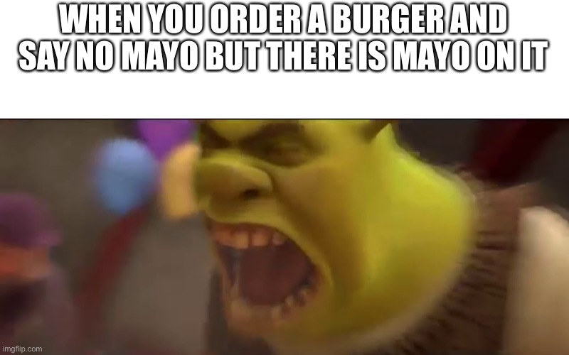 this happened yesterday | WHEN YOU ORDER A BURGER AND SAY NO MAYO BUT THERE IS MAYO ON IT’S | image tagged in shrek screaming | made w/ Imgflip meme maker