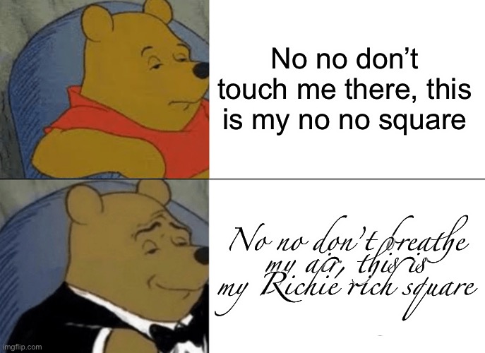 No no square | No no don’t touch me there, this is my no no square; No no don’t breathe my air, this is my Richie rich square | image tagged in memes,tuxedo winnie the pooh | made w/ Imgflip meme maker