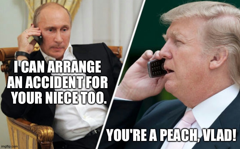 Putin/Trump phone call | I CAN ARRANGE 
AN ACCIDENT FOR 
YOUR NIECE TOO. YOU'RE A PEACH, VLAD! | image tagged in putin/trump phone call | made w/ Imgflip meme maker