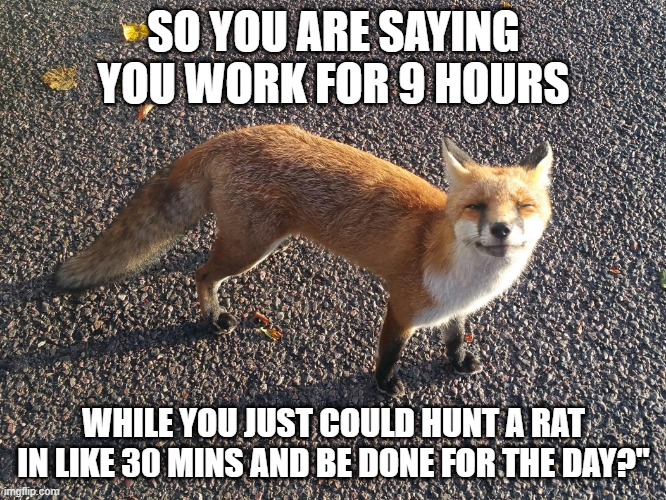 SO YOU ARE SAYING YOU WORK FOR 9 HOURS; WHILE YOU JUST COULD HUNT A RAT IN LIKE 30 MINS AND BE DONE FOR THE DAY?" | made w/ Imgflip meme maker