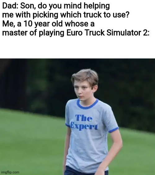 The Expert | Dad: Son, do you mind helping me with picking which truck to use?
Me, a 10 year old whose a master of playing Euro Truck Simulator 2: | image tagged in the expert,euro truck simulator 2,memes,dad,kid | made w/ Imgflip meme maker