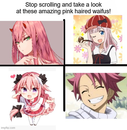 Pink Haired Waifus | Stop scrolling and take a look at these amazing pink haired waifus! | image tagged in pink hair,natsu fairytail,astolfo,zero two,chika fujiwara,anime | made w/ Imgflip meme maker