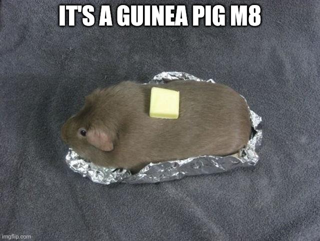 Baked potato Guinea pig | IT'S A GUINEA PIG M8 | image tagged in baked potato guinea pig | made w/ Imgflip meme maker