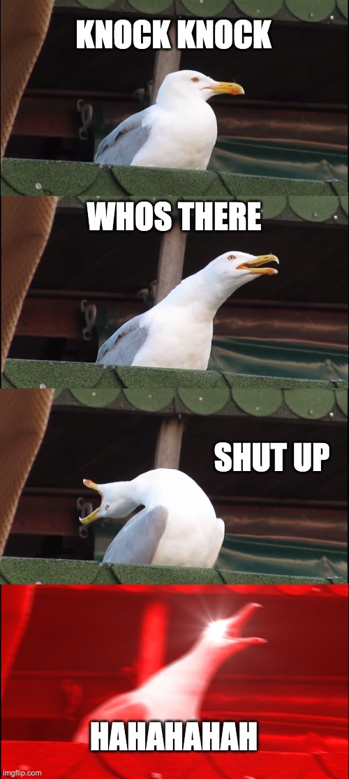 Inhaling Seagull | KNOCK KNOCK; WHOS THERE; SHUT UP; HAHAHAHAH | image tagged in memes,inhaling seagull | made w/ Imgflip meme maker