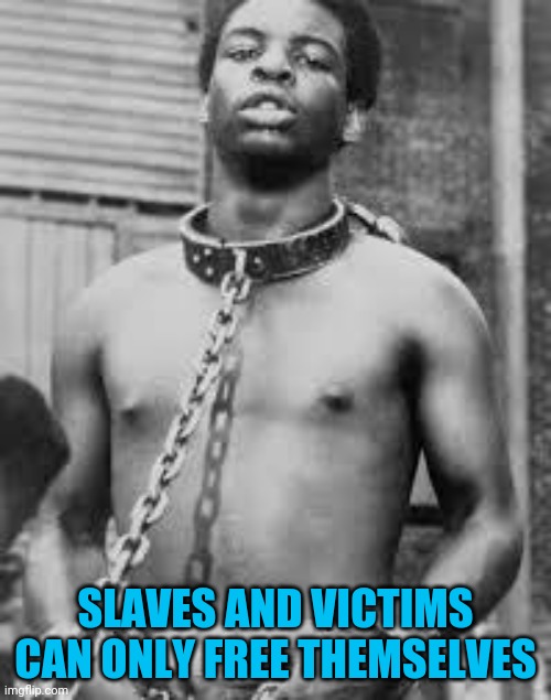 Free your mind | SLAVES AND VICTIMS CAN ONLY FREE THEMSELVES | image tagged in black slave | made w/ Imgflip meme maker