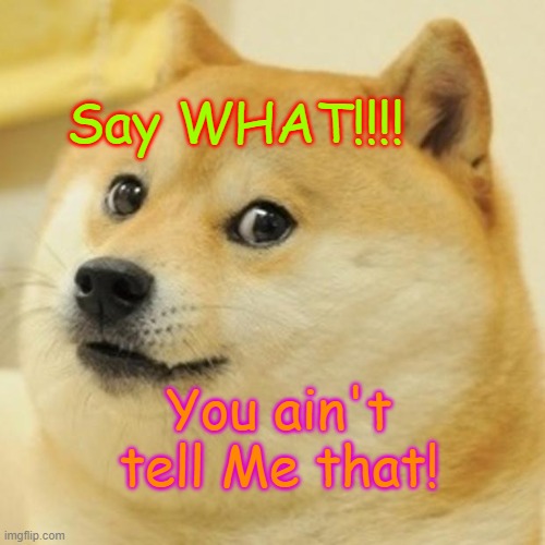 Say What! | Say WHAT!!!! You ain't tell Me that! | image tagged in memes,doge | made w/ Imgflip meme maker