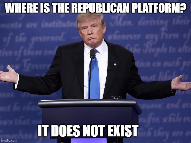 Trump Plans More Destruction of America | WHERE IS THE REPUBLICAN PLATFORM? IT DOES NOT EXIST | image tagged in donald trump is an idiot,treason,traitor,2020,biggest loser,impeached | made w/ Imgflip meme maker
