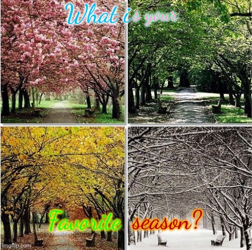 Four Seasons | What i; s your; season? Favorite | image tagged in four seasons | made w/ Imgflip meme maker