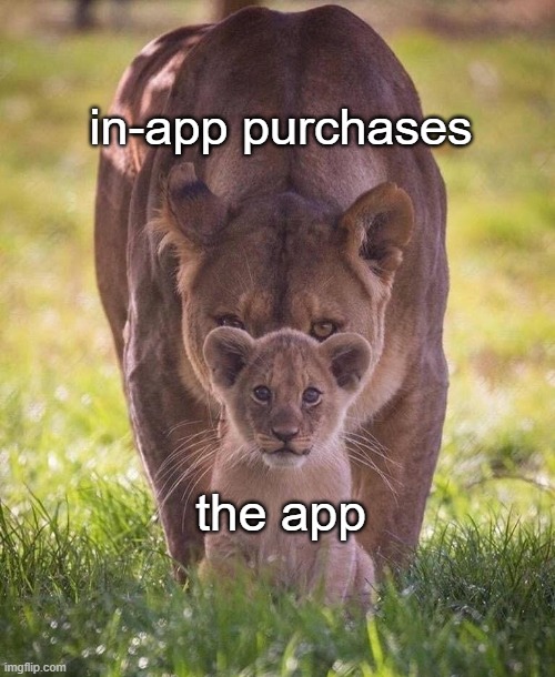 In-Apps |  in-app purchases; the app | image tagged in apps,in-app purchase | made w/ Imgflip meme maker
