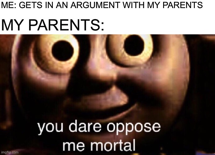 This is ok | ME: GETS IN AN ARGUMENT WITH MY PARENTS; MY PARENTS: | image tagged in blank white template,you dare oppose me mortal,memes | made w/ Imgflip meme maker