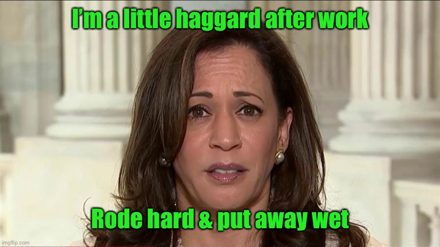 kamala harris | I’m a little haggard after work Rode hard & put away wet | image tagged in kamala harris | made w/ Imgflip meme maker