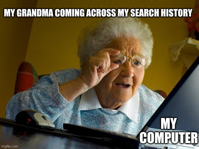 my search history | MY GRANDMA COMING ACROSS MY SEARCH HISTORY; MY COMPUTER | image tagged in memes,grandma finds the internet,grandma meets my searh history | made w/ Imgflip meme maker