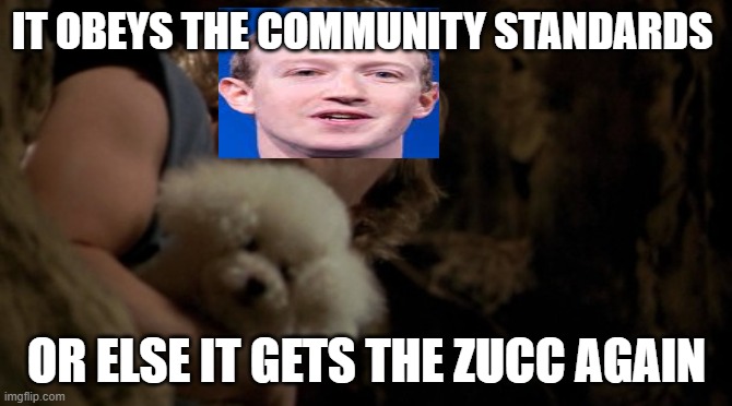 It Gets The Zucc Again | IT OBEYS THE COMMUNITY STANDARDS; OR ELSE IT GETS THE ZUCC AGAIN | image tagged in silence of the lambs lotion,mark zuckerberg,facebook,censorship,zucc | made w/ Imgflip meme maker