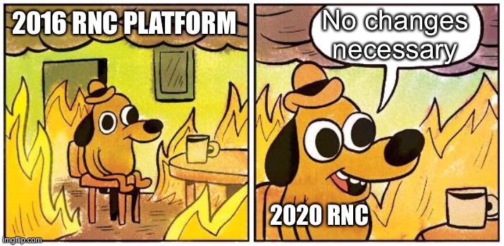 Wow. Just wow. | No changes necessary; 2016 RNC PLATFORM; 2020 RNC | image tagged in this is fine,rnc convention | made w/ Imgflip meme maker