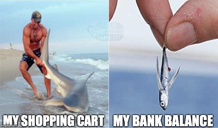 MY BANK BALANCE; MY SHOPPING CART | image tagged in memes | made w/ Imgflip meme maker
