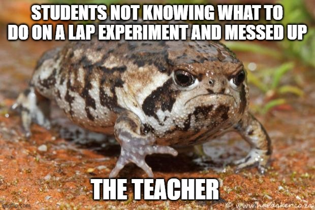 Grumpy Toad | STUDENTS NOT KNOWING WHAT TO DO ON A LAP EXPERIMENT AND MESSED UP; THE TEACHER | image tagged in memes,grumpy toad | made w/ Imgflip meme maker