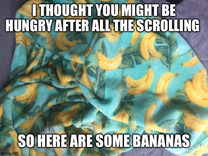 I THOUGHT YOU MIGHT BE HUNGRY AFTER ALL THE SCROLLING; SO HERE ARE SOME BANANAS | made w/ Imgflip meme maker